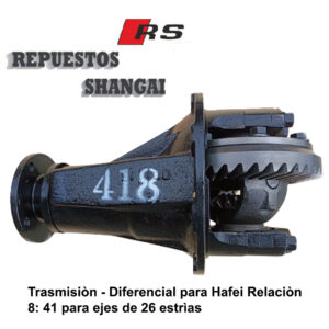 Trasmision Diferencial Huevo Hafei